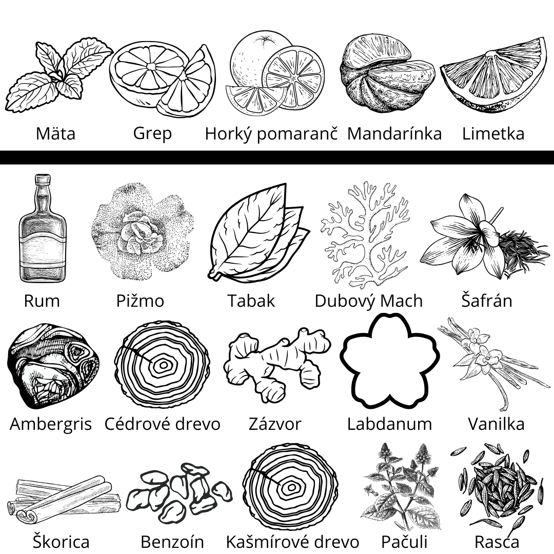 Roja - Burlington 1819 vzorka