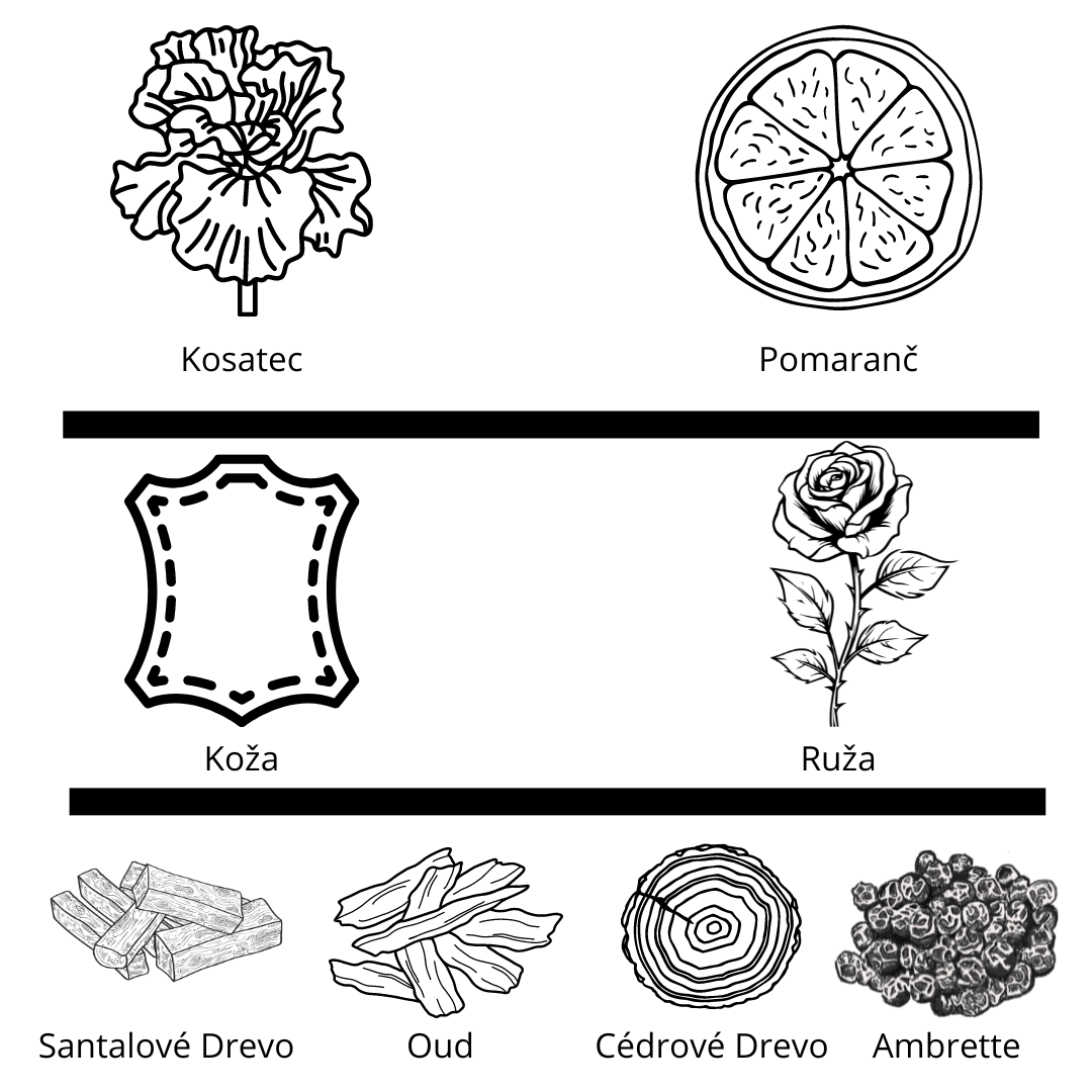 Dior - Homme Parfum vzorka