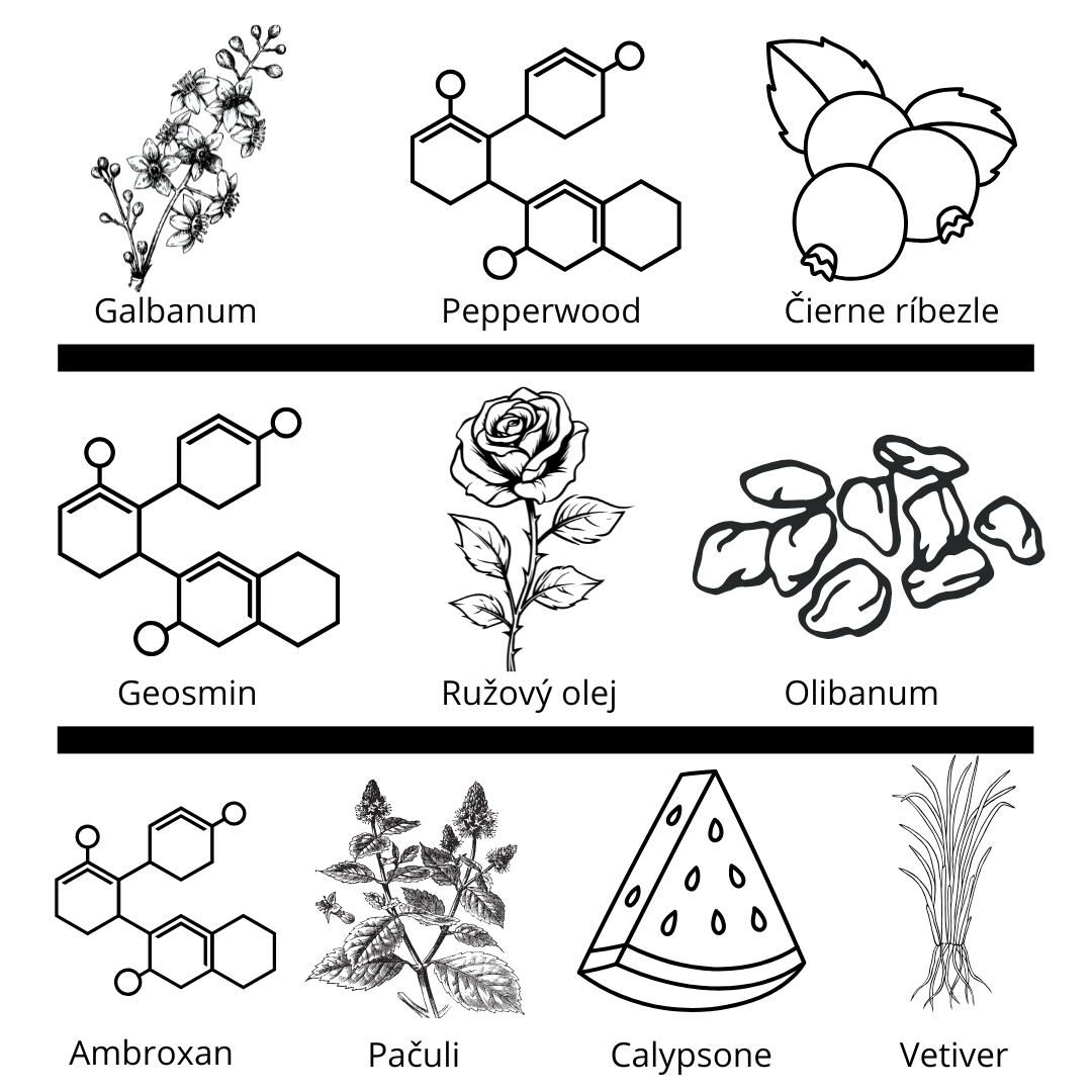 Etat Libre d’Orange - Hermann a Mes Cotes Me Paraissait Une Ombre vzorka