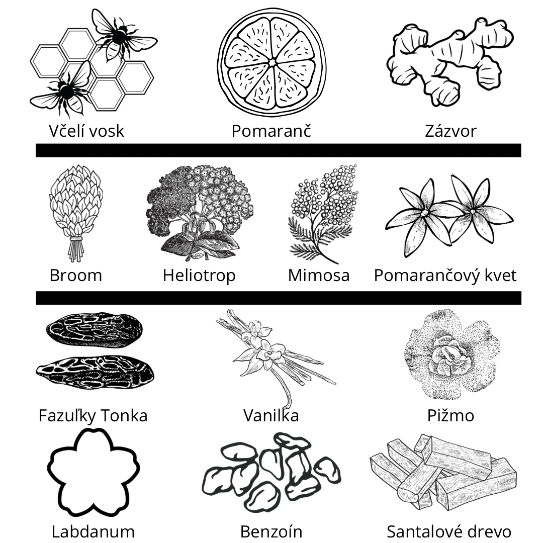 Zoologist - Bee vzorka
