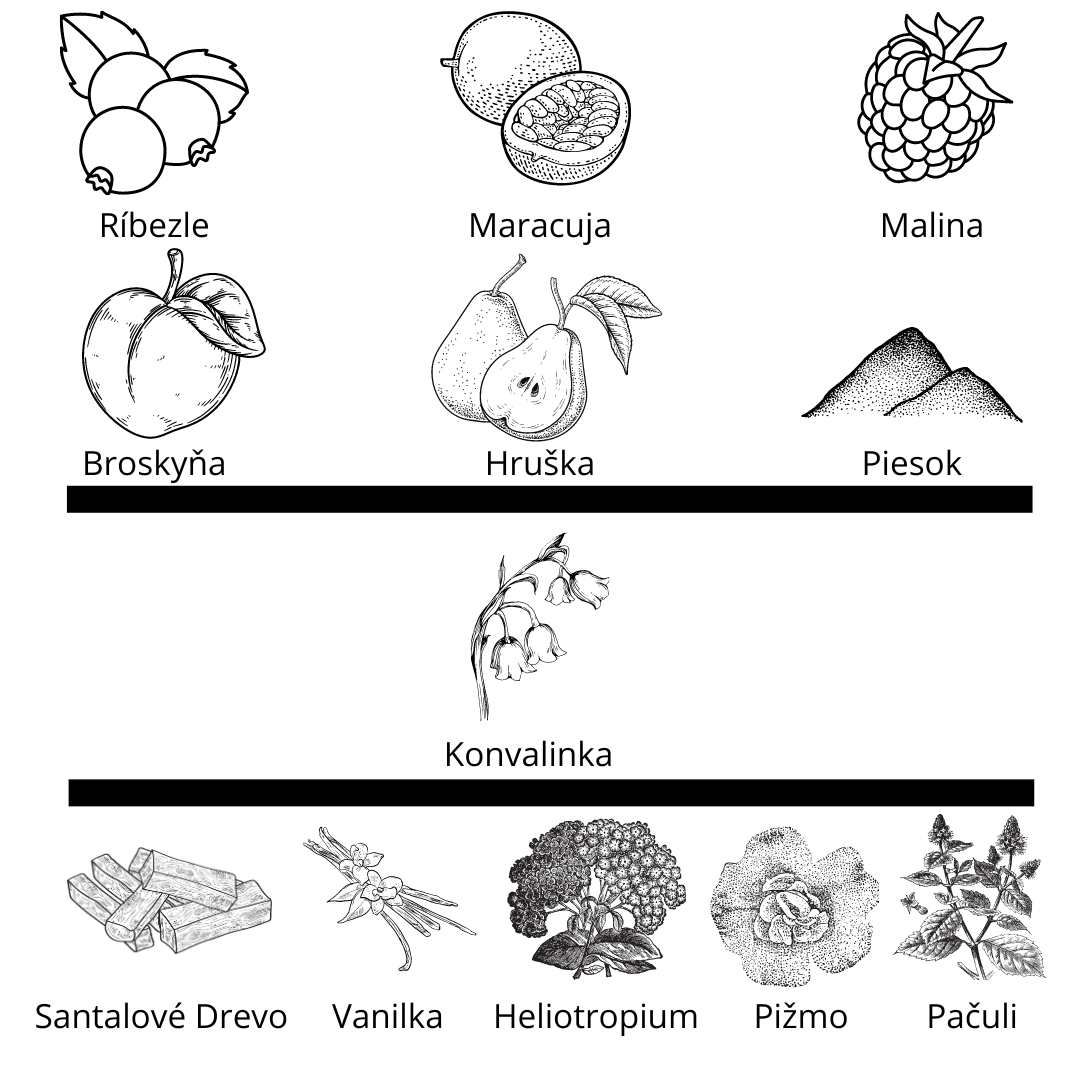 Tiziana Terenzi - Kirke vzorka