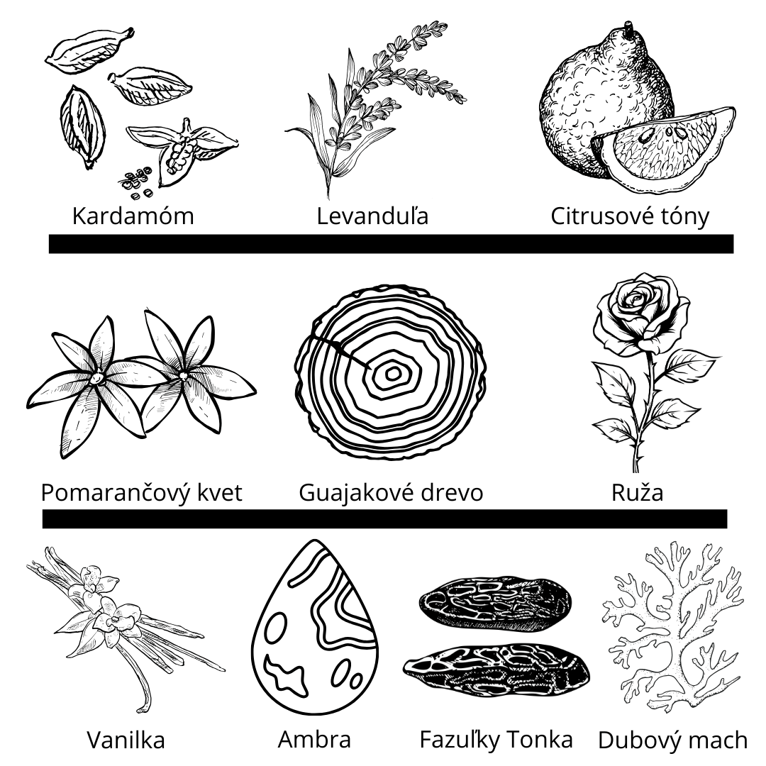 French Avenue - Liquid Brun Limited Edition vzorka