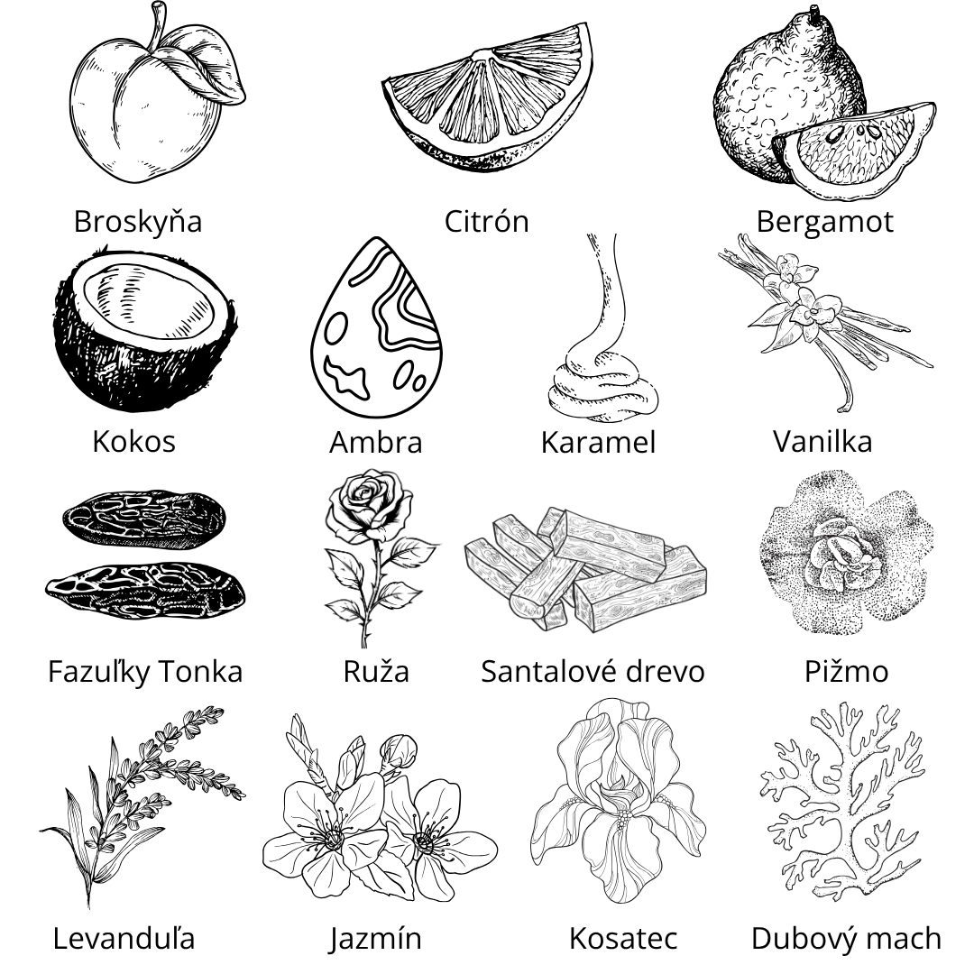 SBOY by Draco vzorka