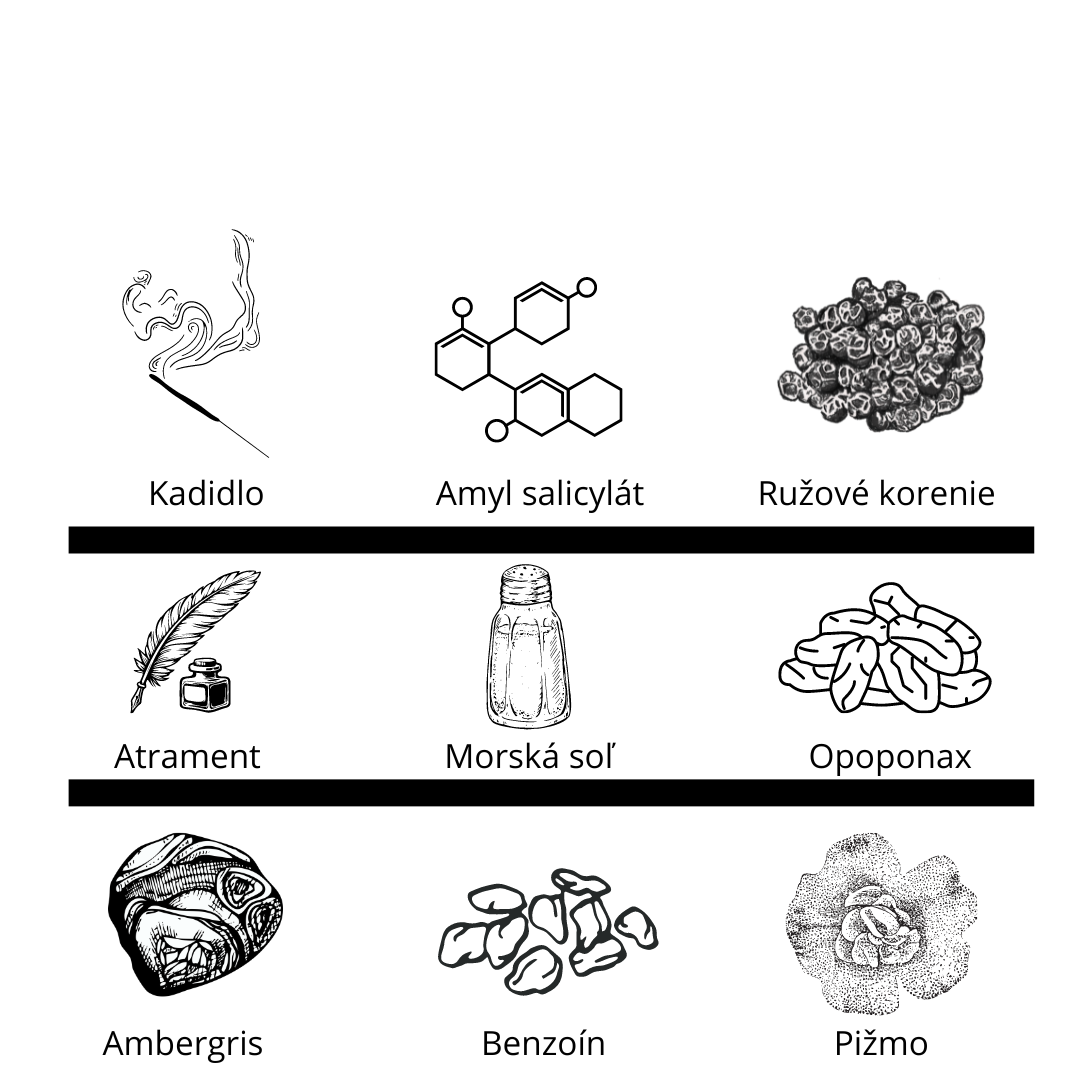 Zoologist - Squid vzorka