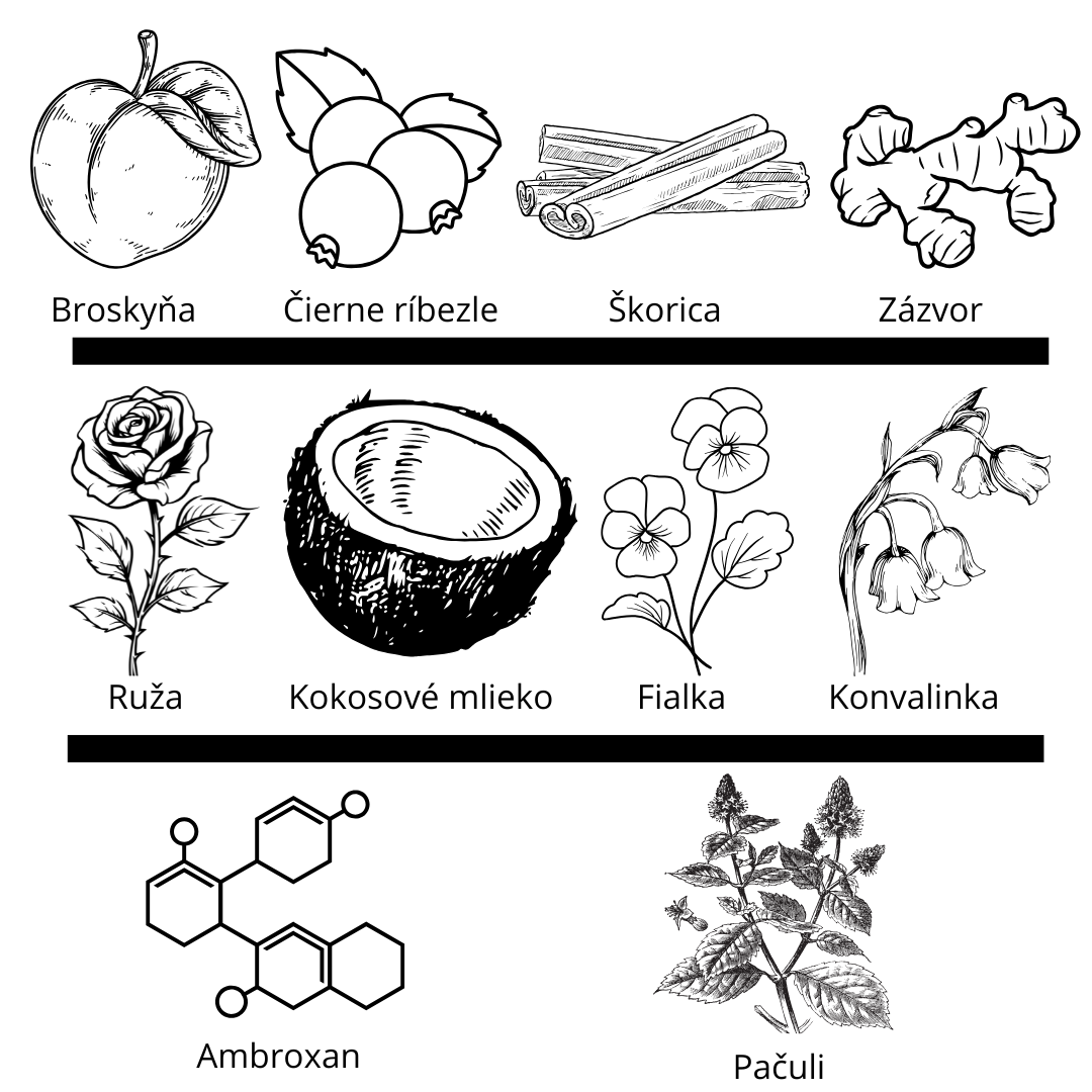 Louis Vuitton - eLVes vzorka