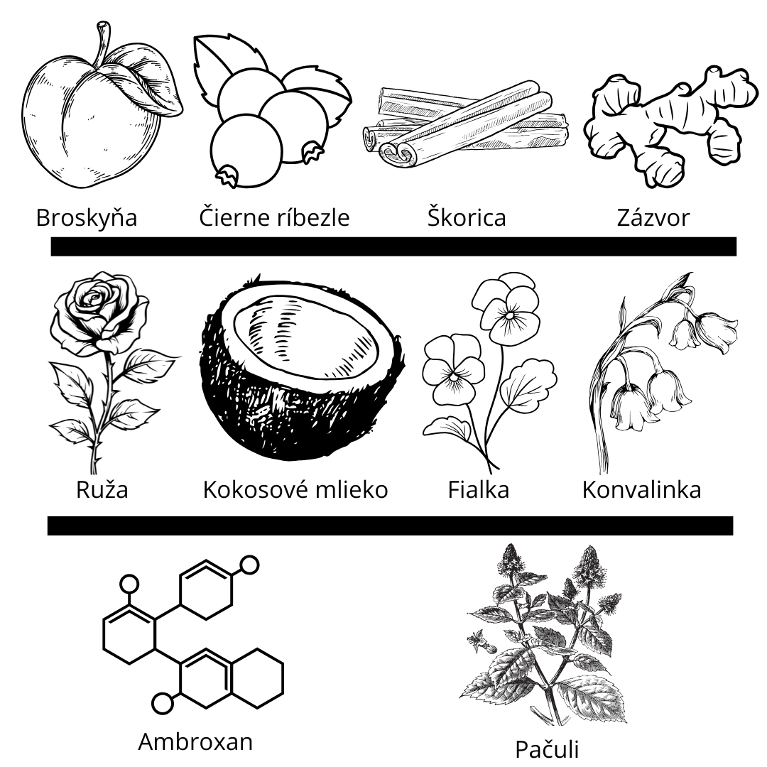 Louis Vuitton - eLVes vzorka