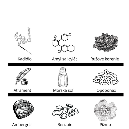 Zoologist - Squid sample
